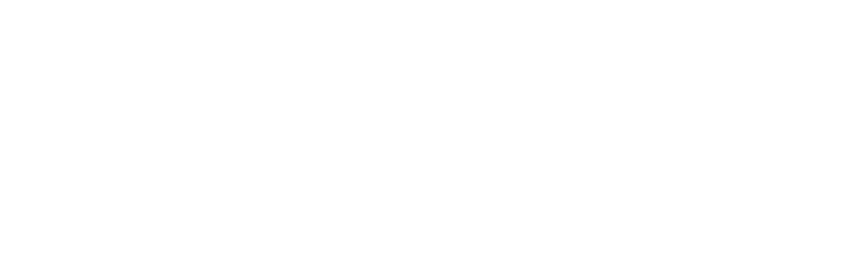 TouchStone logo
